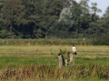 uncommon birds