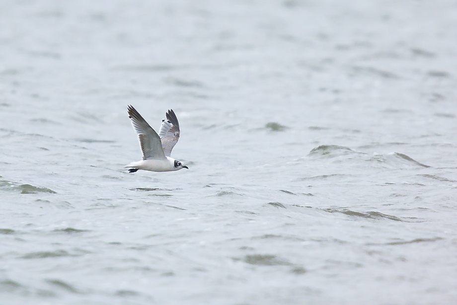 Club300 Germany Club300 Germany